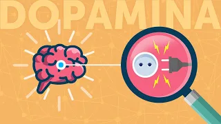 How to Activate the Brain's Courage Circuit | Dopamine and Neuroplasticity