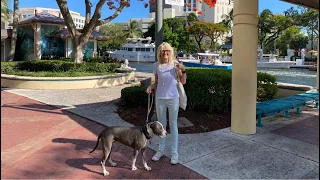 Fort Lauderdale LIVE Walking River Walk  Ft Lauderdale Florida w/ Hudson the Dog July 9, 2022