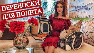 ОБЗОР ПЕРЕНОСОК для ПОЛЕТА.