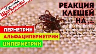 Реакция клещей на АЛЬФАЦИПЕРМЕТРИН, ПЕРМЕТРИН и ЦИПЕРМЕТРИН. Тест на выживание