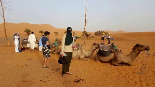 Merzouga 3 Days2 Nights From Marrakech | Morocco Desert Tour