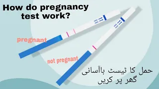 گھر پر حمل کا ٹیسٹ کیسے لیا جائے | pregnancy test | how to use pregnancy kit