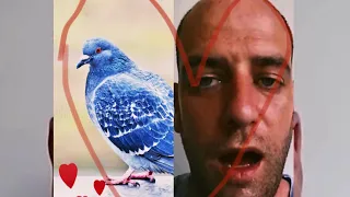 YTP Callum’s Corner Rapes Pigeons with Coronavirus