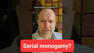 what is serial monogamy?