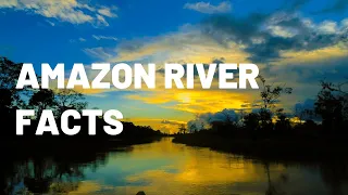 Amazing Amazon River Adventure for Kids | Exploring the Wildlife, Culture and More!