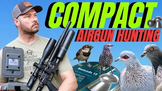 COMPACT AIRGUN HUNTING WITH FX PANTHERA I TRUE BALLISTIC CHRONOGRAPH REVIEW I AIRGUN PEST CONTROL