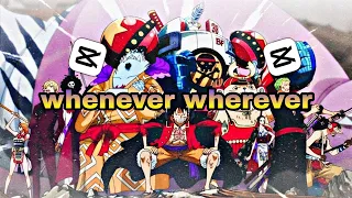 One piece (edit/amv)- whenever wherever shakira