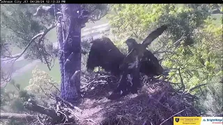 JC23 and JC24 ETSU Eagle Cameras Johnson City Cam 1: ETSU Eagle Cameras