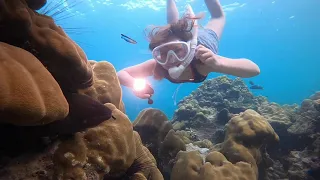 Snorkeling Koh Lipe, Thailand