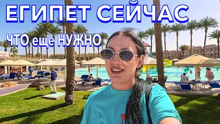 Египет 2024. ПОЧТИ ИДЕАЛЬНЫЙ‼️Beach Albatros Resort 4*. ПЕРВАЯ ЛИНИЯ ТЕРРИТОРИЯ ПЛЯЖ. Хургада сейчас