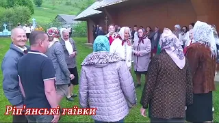 гаївки