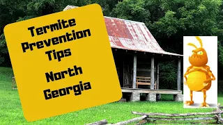 Termite Prevention Tips - North Georgia