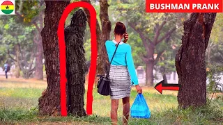 😂😂😂Moving Tree! MARCH COMPILATION- Bushman Prank.