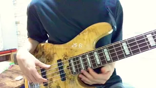 Tal Wilkenfeld - Bass solo transcription