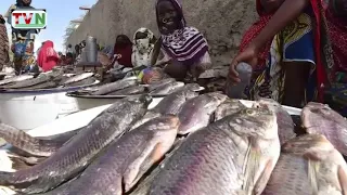 SAVING THE LAKE CHAD  FROM EXTINCTION