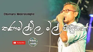 Thanamal Vila Mal Pipunath | Thanamal Vila Mal | Sinhala Songs | Chamara Weerasinghe