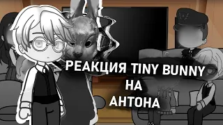 Реакция Tiny Bunny на Антона/Нового одноклассника