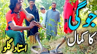 Catching a snake by Jogi | جوگی نے کمال کر دیا | Jogi and Snake | Mushki Naag