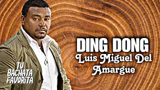 DING DONG l Luis Miguel Del Amargue l Bachata para recordar