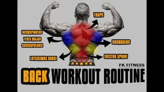 14 MINUTE BACK WORKOUT FOR STRONGER BACK + BETTER POSTURE | BEGINNER + INTERMEDIATE