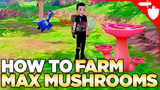 How to Farm Max Mushrooms in Pokemon Sword and Shield DLC Isle of Armor