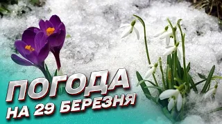 ❄️ Погода на 29 березня: Україну засипає снігом!