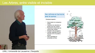 Conférence d'Ernst Zürcher - Les arbres entre visible et invisible