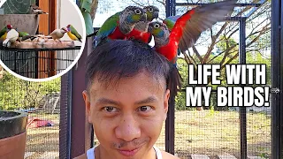 Life With Our Birds at the Farmhouse | Vlog #1706