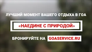 Дикое гнездо Гоа эко-коттеджи в эко-отеле — Экскурсия «Наедине с природой»