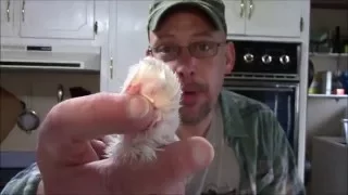 How to Make a Rabbits Foot Keychain