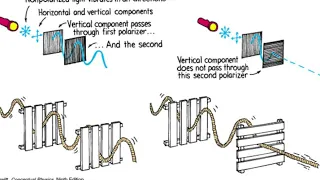 Preparation of Wave Polarization: A Demonstration Contraption