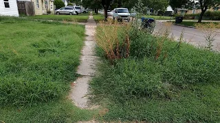 Crazy OVERGROWN Yard With HIDDEN Sidewalks Everywhere