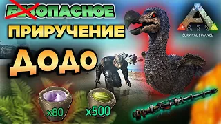 КАК ПРИРУЧИТЬ ДОДО БЕЗОПАСНО в ARK MOBILE? #ark #arkmobile #арк #аркмобайл #приручение #додо #dodo