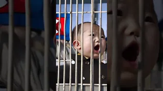 Zweijähriges Kind wird in Nordkorea zu lebenslanger Haft verurteilt! 🇰🇵 #shorts #news