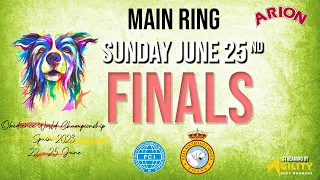 🏆 FINALS  🏆 OBEDIENCE FCI WORLD CHAMPIONSHIP - SPAIN 2023 🇪🇸