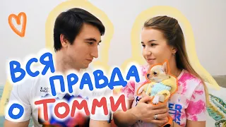 ТОММИ ЧИХУАХУА: НАМ УЖЕ 5 МЕСЯЦЕВ 🐶 МИНИ ЧИХУАХУА | УХОД, ПИТАНИЕ, ТРУДНОСТИ ВОСПИТАНИЯ