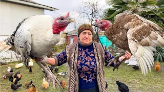 CHRISTMAS IN OUR VILLAGE! GRANDMA COOKING 2 HUGE TURKEY-HEN | COLD WINTERED COUNTRYSIDE LIVING