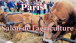 Paris International Agricultural Show 2024  I Vlog Paris