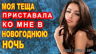 МОЯ ТЕЩА ПРИСТАВАЛА КО МНЕ В НОВОГОДНЮЮ НОЧЬ | Теща и зять Истории из жизни