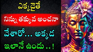 Budha Healing motivational quotes|| Lord budha ||budha Telugu #ownvoice Ep - 43