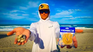 Live Bait vs. Fish Gum - Surf Fishing Catch Clean Cook