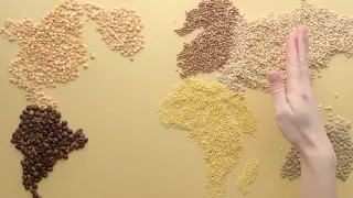 Global Food Crisis