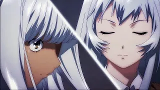 Ikki Tousen AMV Shiryuu Chouun "Perfect Life"