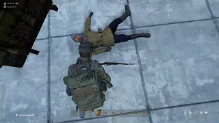 First DayZ AI Interaction