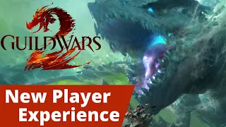 Guild Wars 2 - The New Player Experience