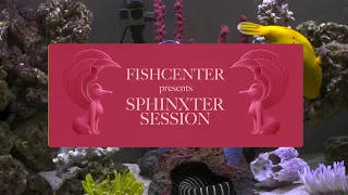 Fishcenter - January 9, 2019