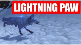 🔝 Tracking and Taming Lightning Paw