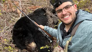 A British Columbia Spring Black Bear Rifle Hunt