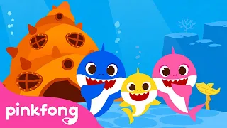 La Maison des Requins | Baby Shark en français | Pinkfong ! Chansons pour Enfants