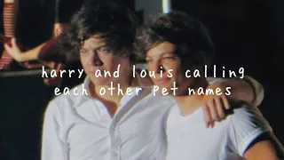 harry and louis calling each other pet names/nicknames